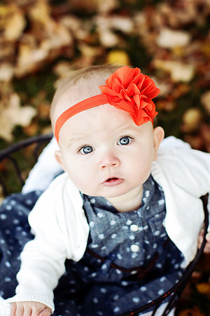 Wedoff Photography Schaumburg Children Photography