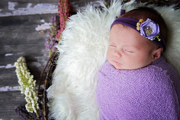 Wedoff Photography Woodstock