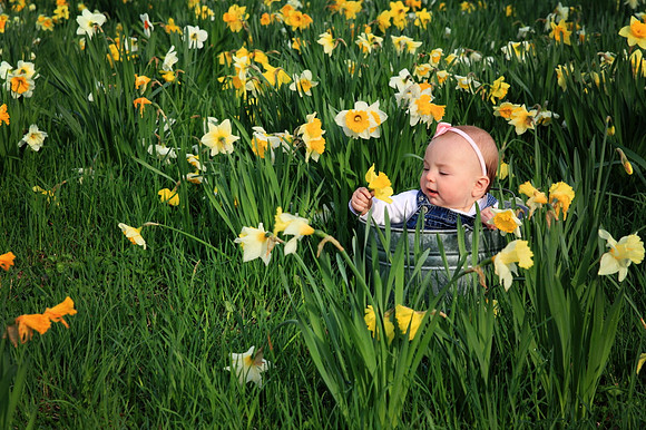 Wedoff Photography Woodstock Children Photography